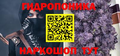 гашик Нарткала