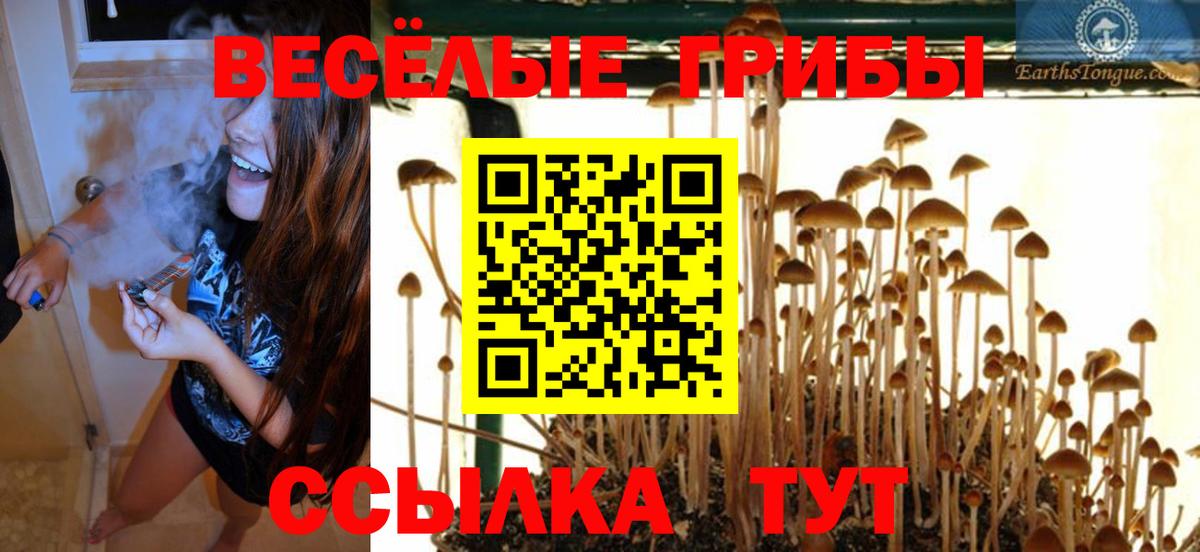 Псилоцибиновые грибы GOLDEN TEACHER Чебаркуль